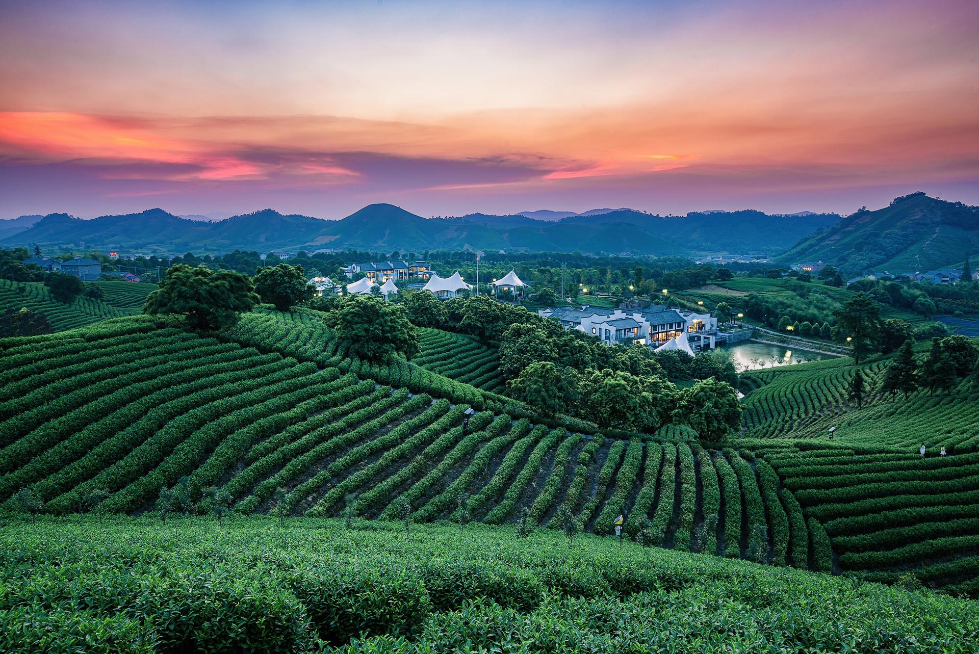 安吉旅游1日必去的景点_安吉假日旅游_春节安吉旅游攻略