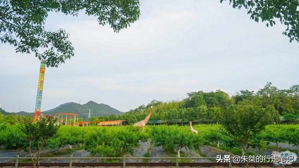 安吉假日旅游_安吉旅游一日游_安吉旅游价格
