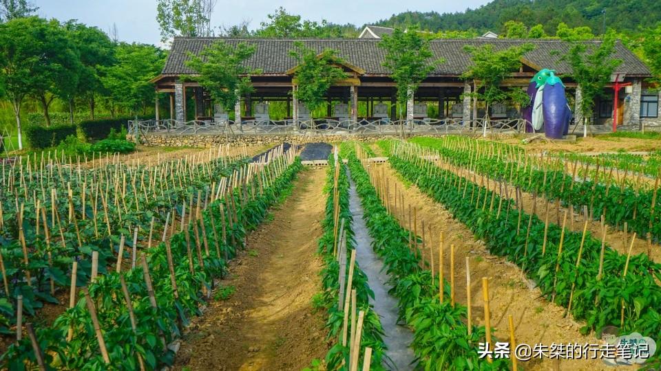 安吉旅游一日游_安吉假日旅游_安吉旅游价格