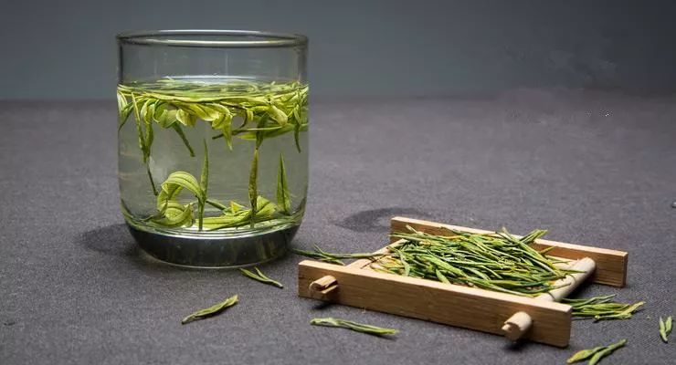 安吉白茶的特点_安吉白茶特点白茶的香气_安吉白茶三大特点