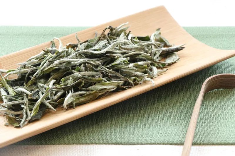 安吉白茶特点白茶的香气_安吉白茶三大特点_安吉白茶的特点