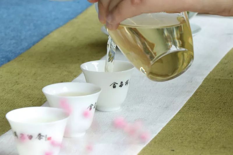 安吉白茶的特点_安吉白茶三大特点_安吉白茶特点白茶的香气