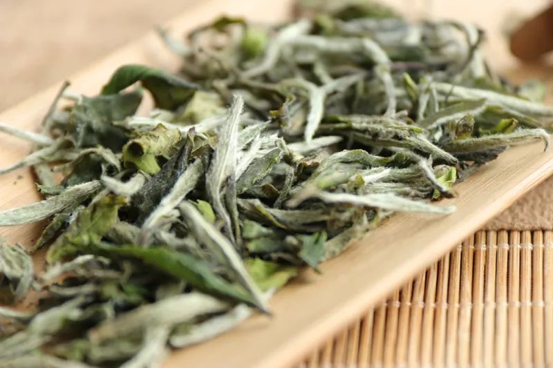 安吉白茶特点白茶的香气_安吉白茶三大特点_安吉白茶的特点