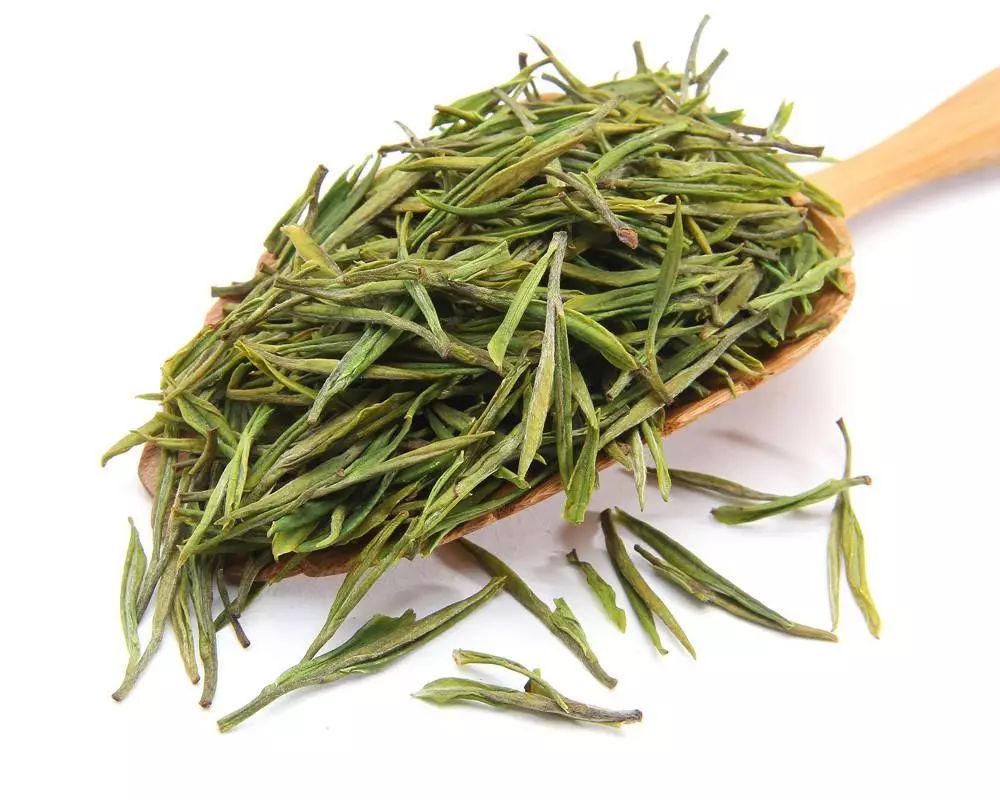 安吉白茶的特点_安吉白茶特点白茶的香气_安吉白茶三大特点