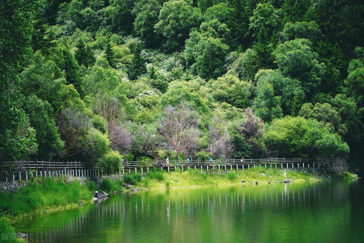 安吉江南天池景区游记_安吉江南天池景区游记_安吉江南天池景区游记