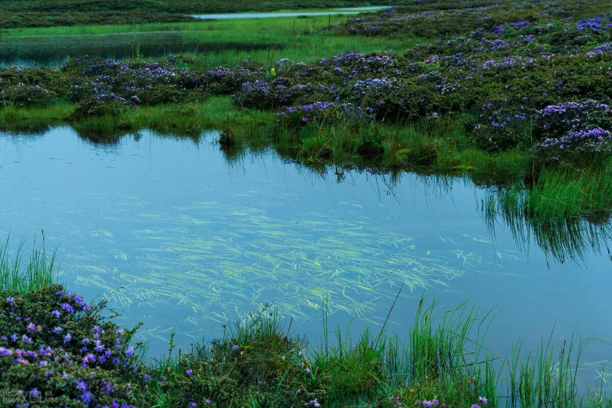 安吉江南天池景区游记_安吉江南天池景区游记_安吉江南天池景区游记