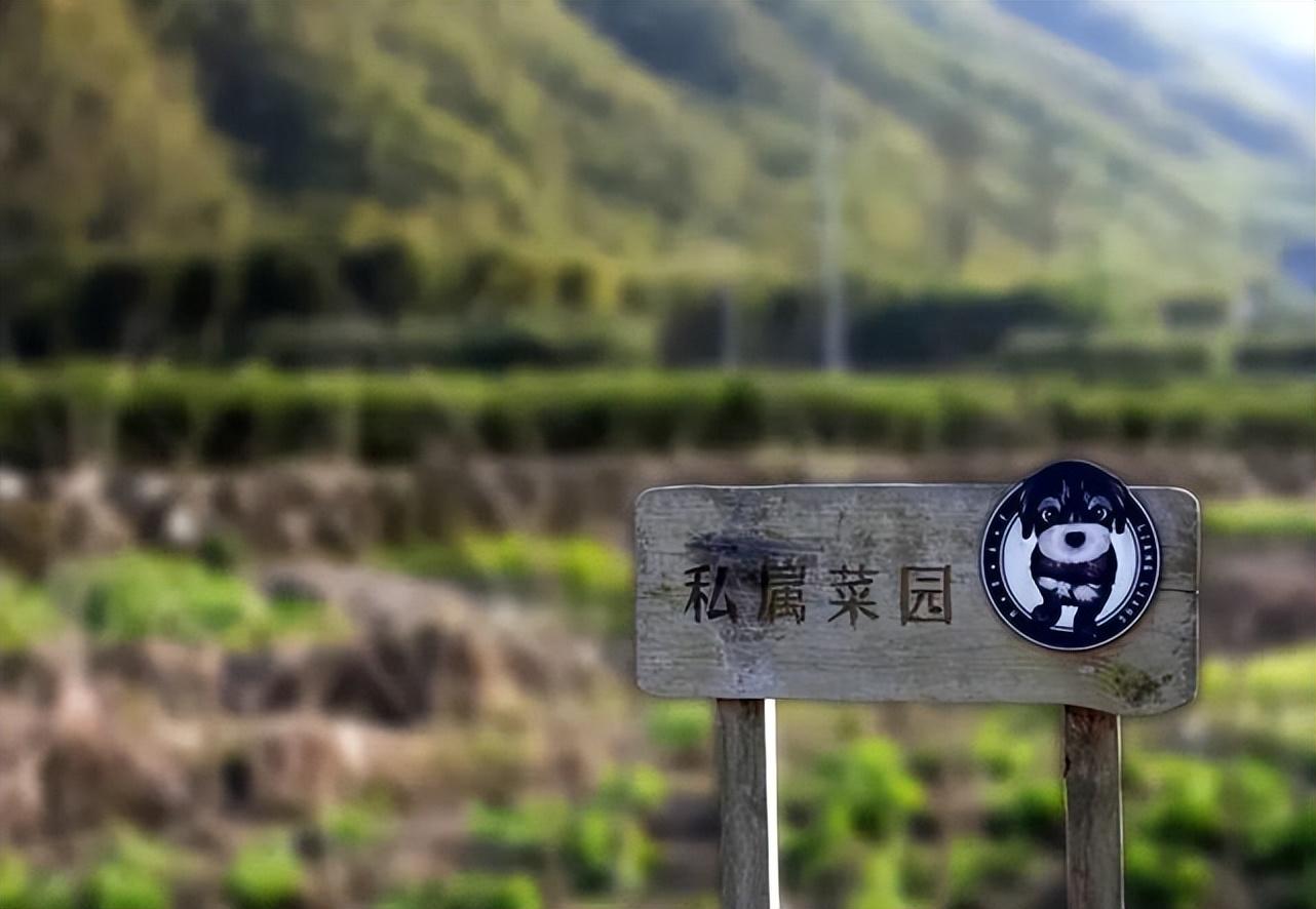安吉旅游1日必去的景点_安吉旅游价格_安吉假日旅游