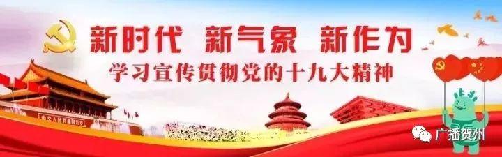贺卅房地产_广西贺州市房地产开发公司_贺州市房地产调研报告
