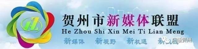 广西贺州市房地产开发公司_贺卅房地产_贺州市房地产调研报告