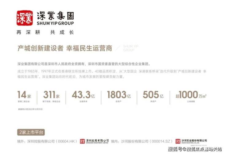房地产代理商排名_房地产代理销售公司排名_十大房地产代理公司