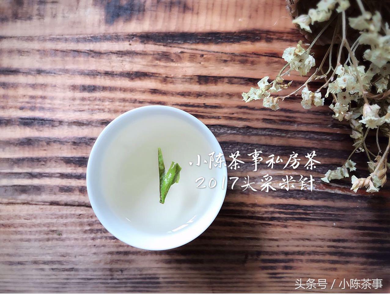 白茶安吉_安吉白茶和白茶的区别_安吉白茶与白茶