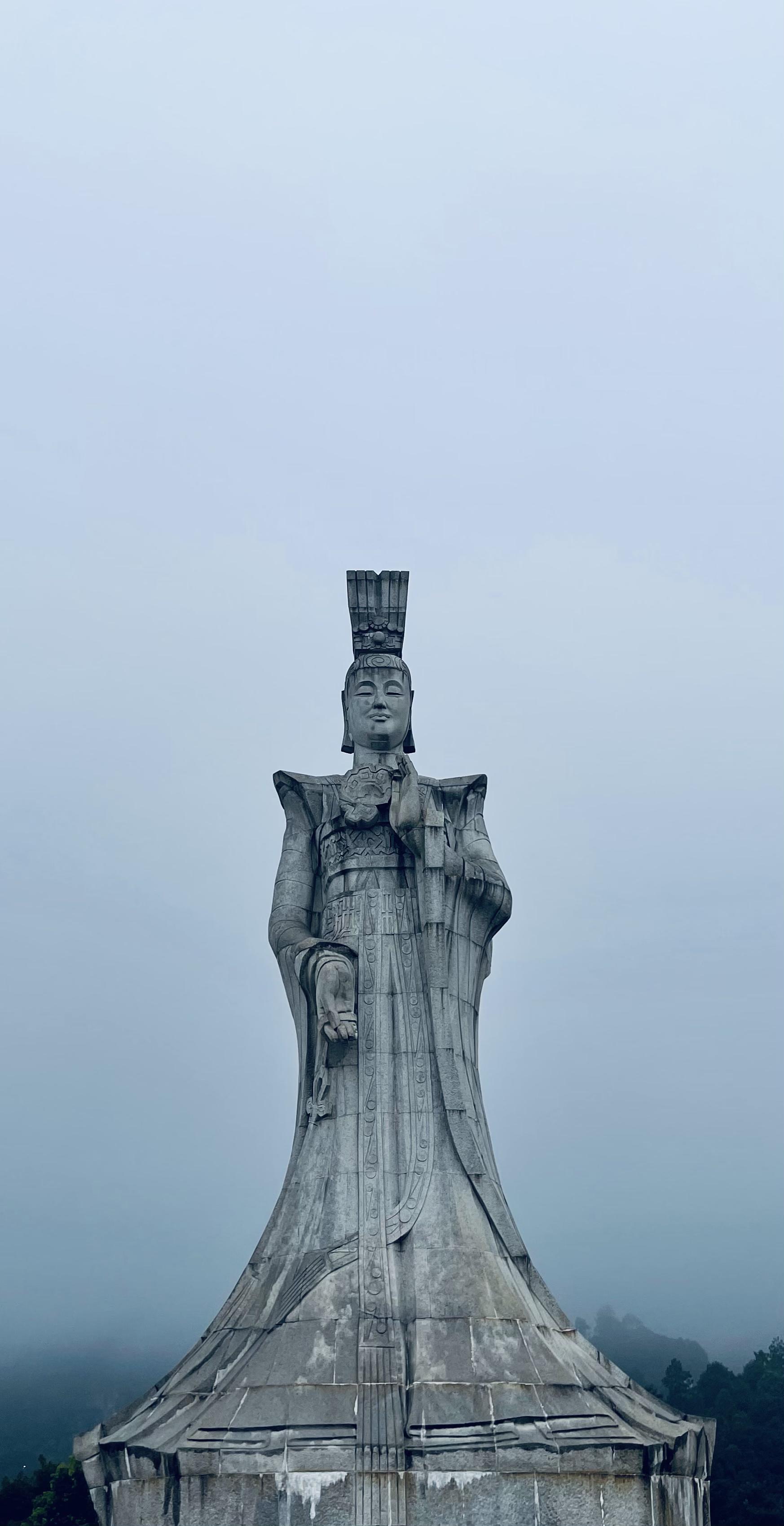 安吉白茶与白茶_白茶安吉_安吉白茶和白茶的区别