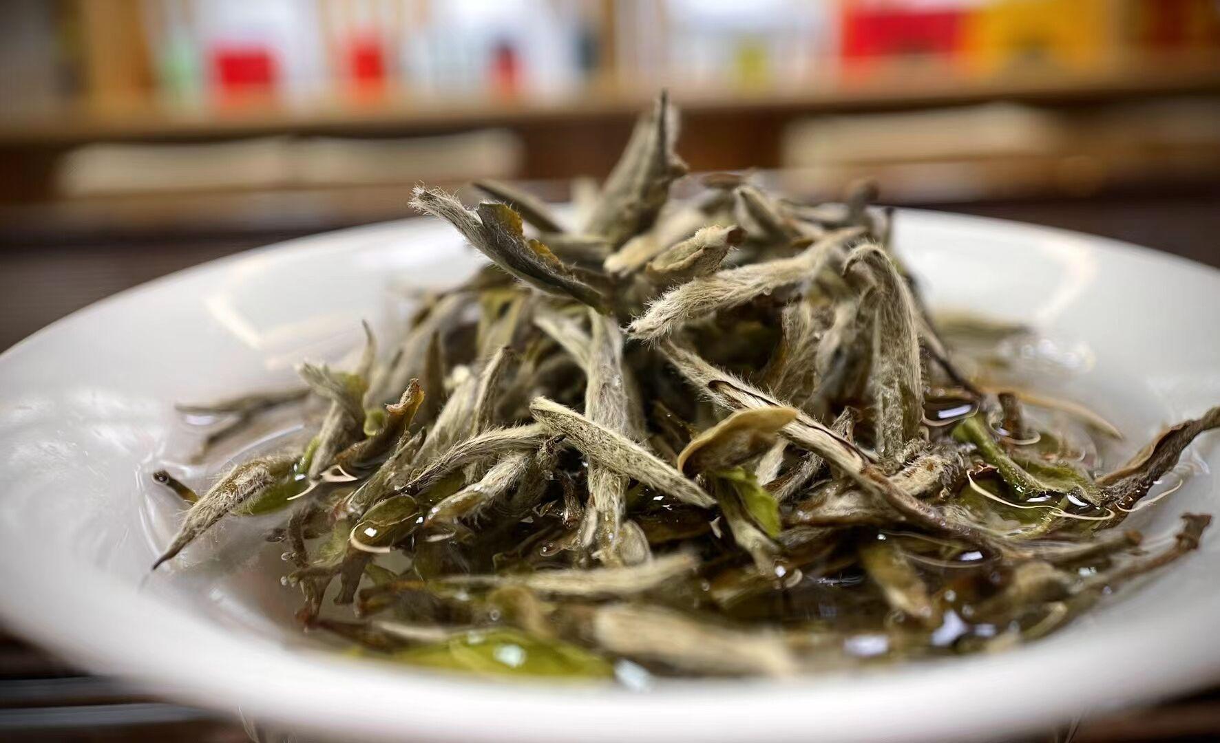 安吉白茶与白茶_白茶安吉_安吉白茶和白茶的区别