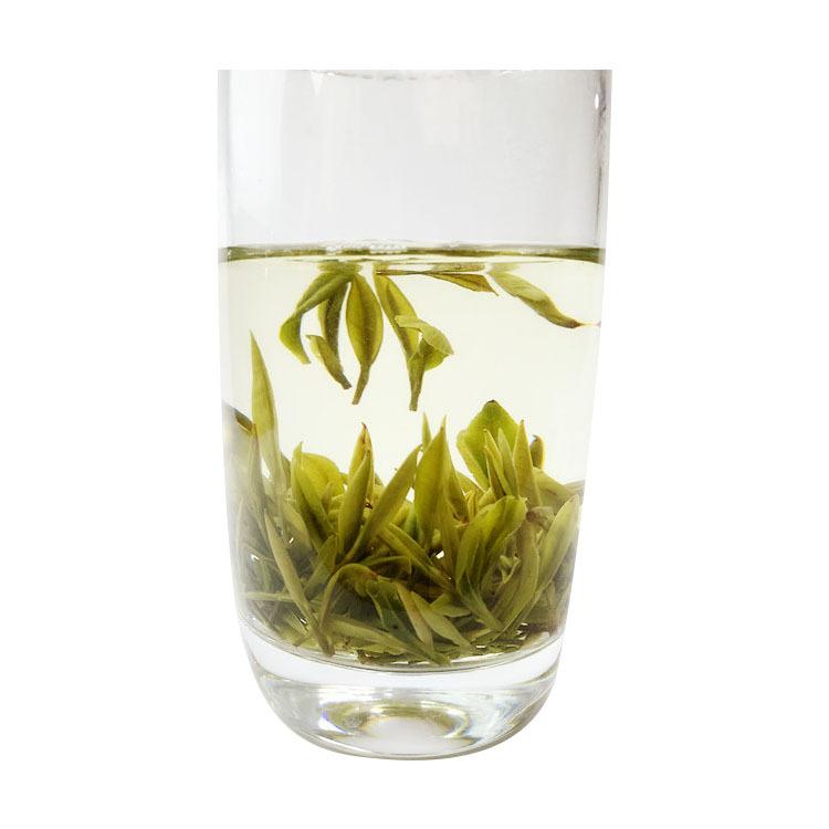 安吉白茶与白茶_白茶安吉_安吉白茶和白茶的区别