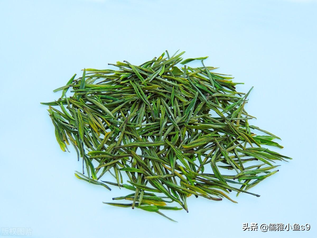 白茶安吉_安吉白茶和白茶的区别_安吉白茶的区别