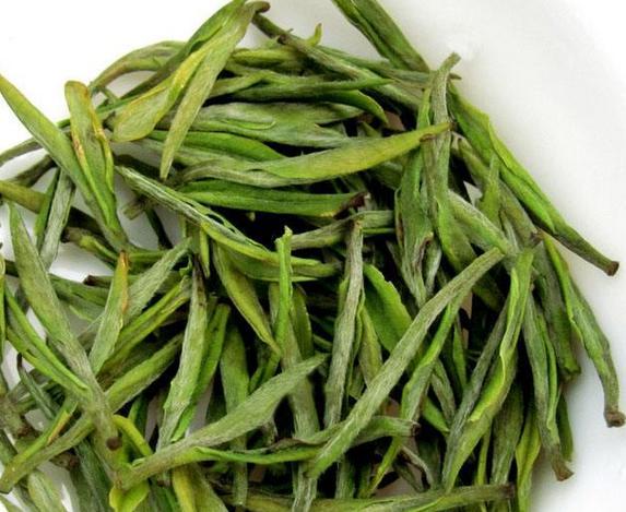 安吉白茶与白茶_安吉白茶的区别_安吉白茶和白茶的区别