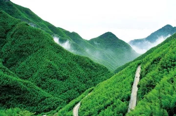 安吉农家乐联盟网_安吉董岭农家乐_安吉农家乐图片