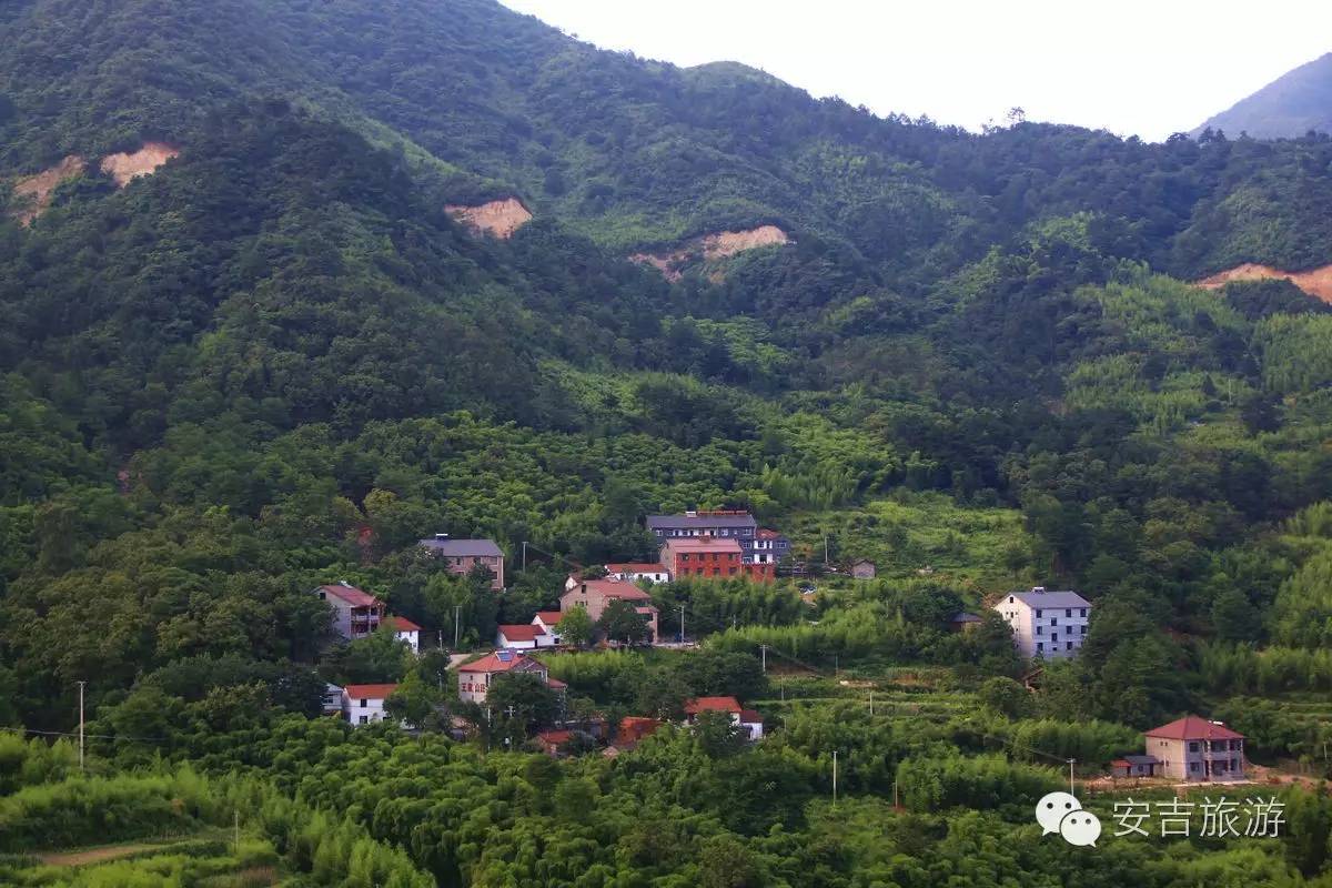安吉农家乐是什么地方_安吉农家乐联盟网_安吉董岭农家乐