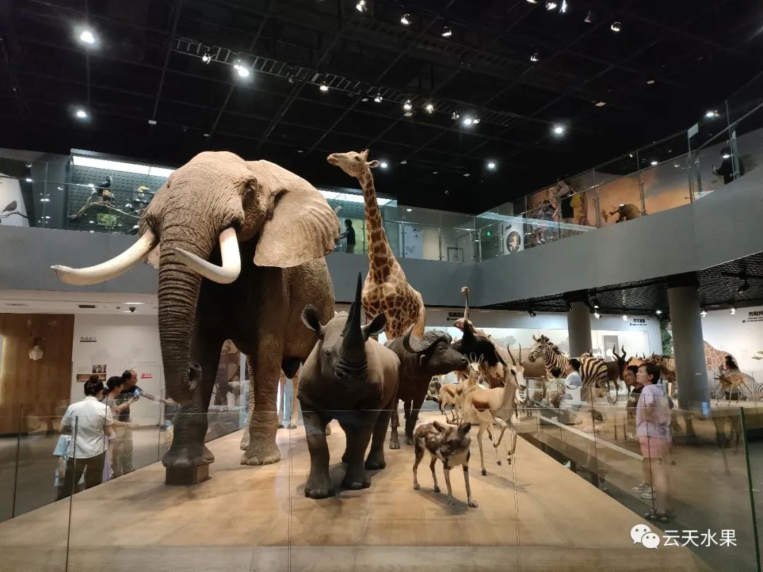 安吉百草园景点介绍视频_安吉百草园景点介绍_安吉百草园旅游攻略