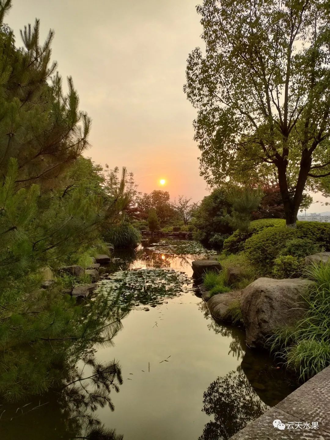 安吉百草园景点介绍视频_安吉百草园景点介绍_安吉百草园旅游攻略