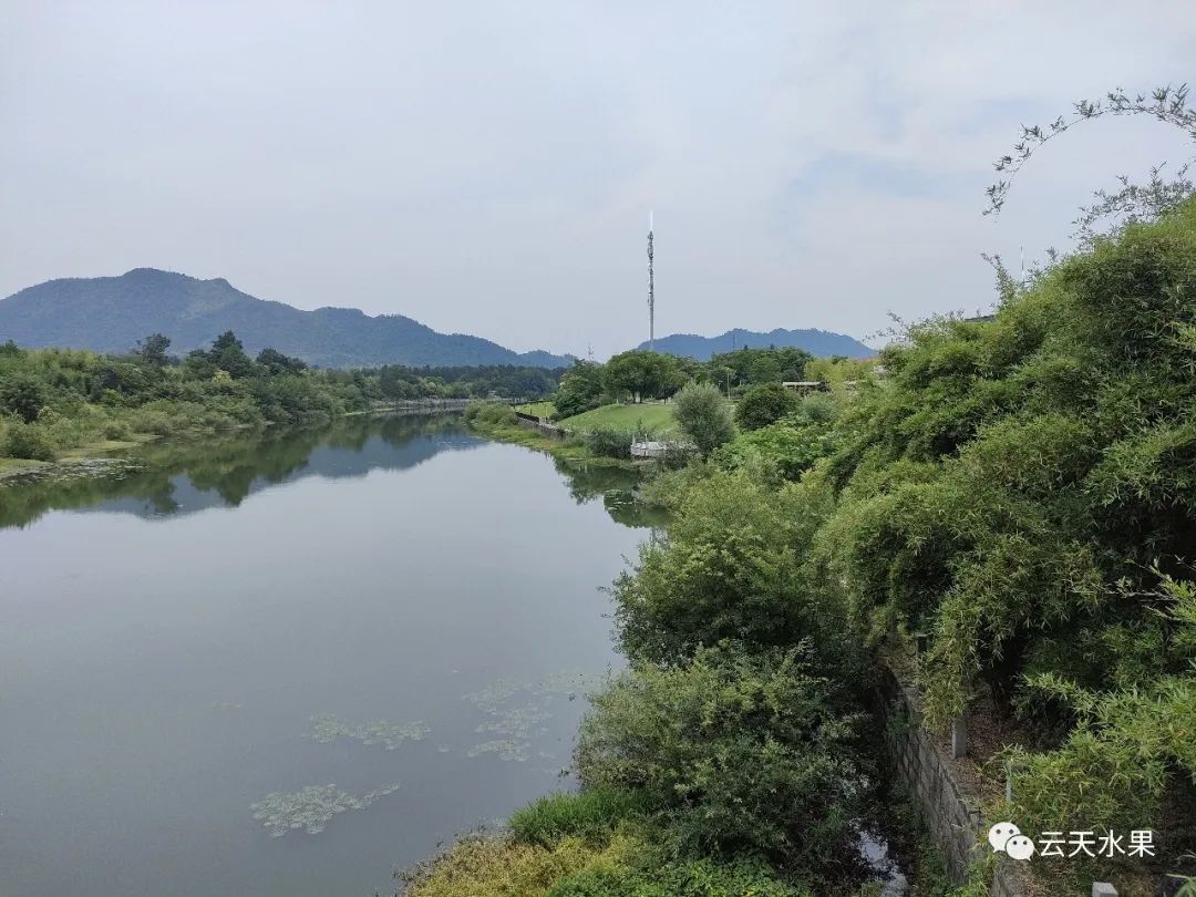 安吉百草园景点介绍视频_安吉百草园旅游攻略_安吉百草园景点介绍