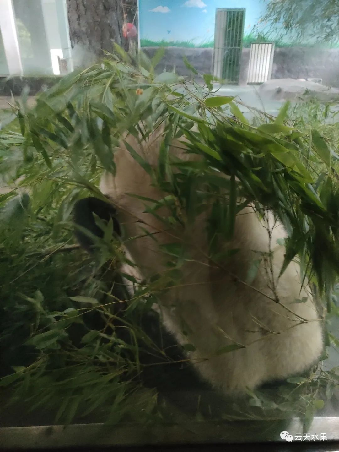 安吉百草园景点介绍视频_安吉百草园景点介绍_安吉百草园旅游攻略