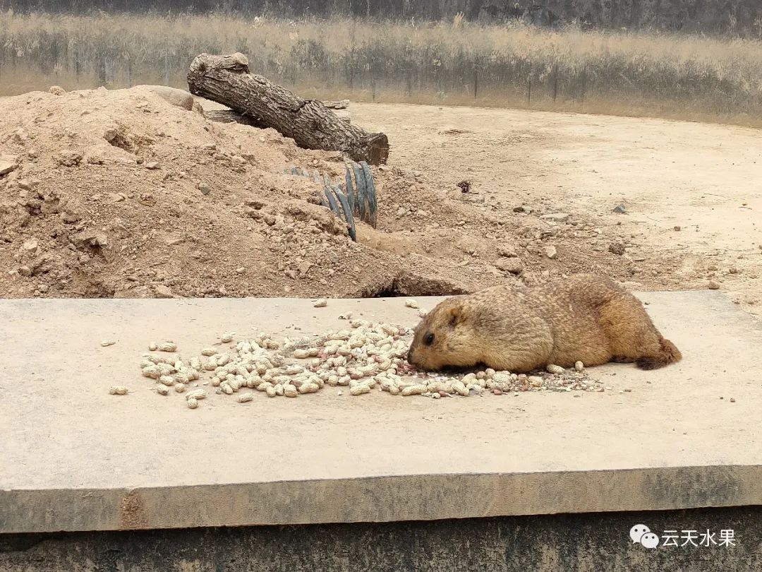 安吉百草园景点介绍_安吉百草园景点介绍视频_安吉百草园旅游攻略