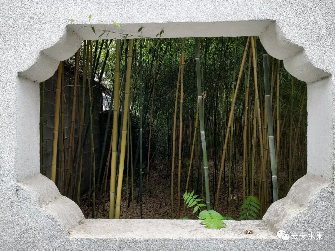 安吉百草园景点介绍视频_安吉百草园景点介绍_安吉百草园旅游攻略