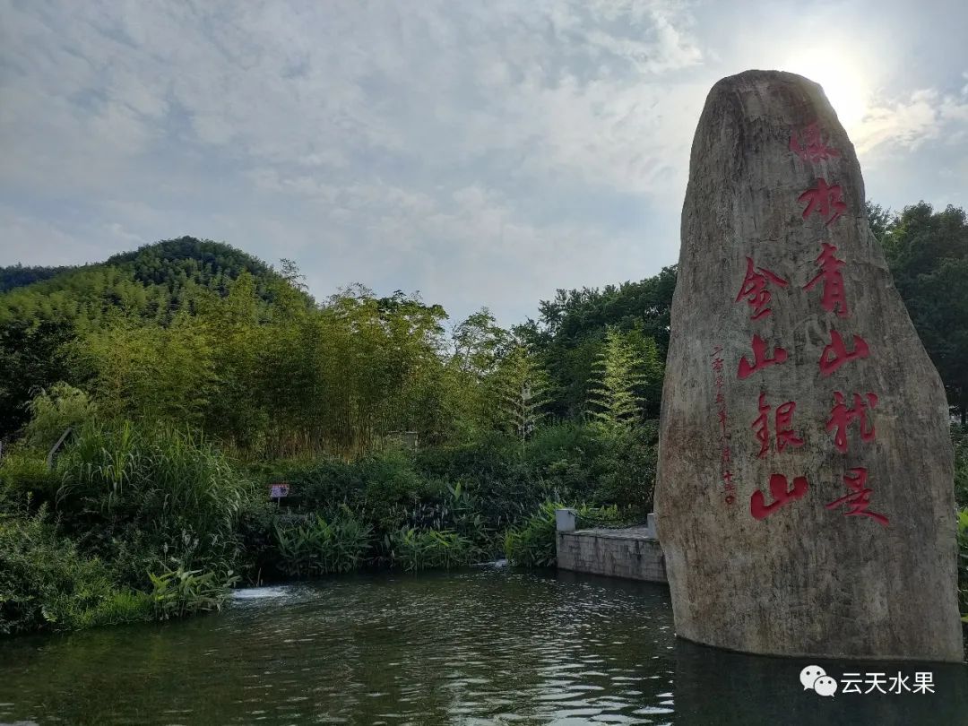 安吉百草园景点介绍视频_安吉百草园景点介绍_安吉百草园旅游攻略