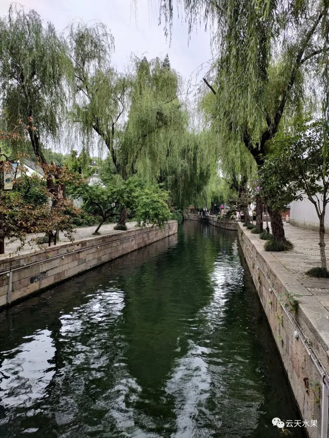 安吉百草园景点介绍_安吉百草园旅游攻略_安吉百草园景点介绍视频
