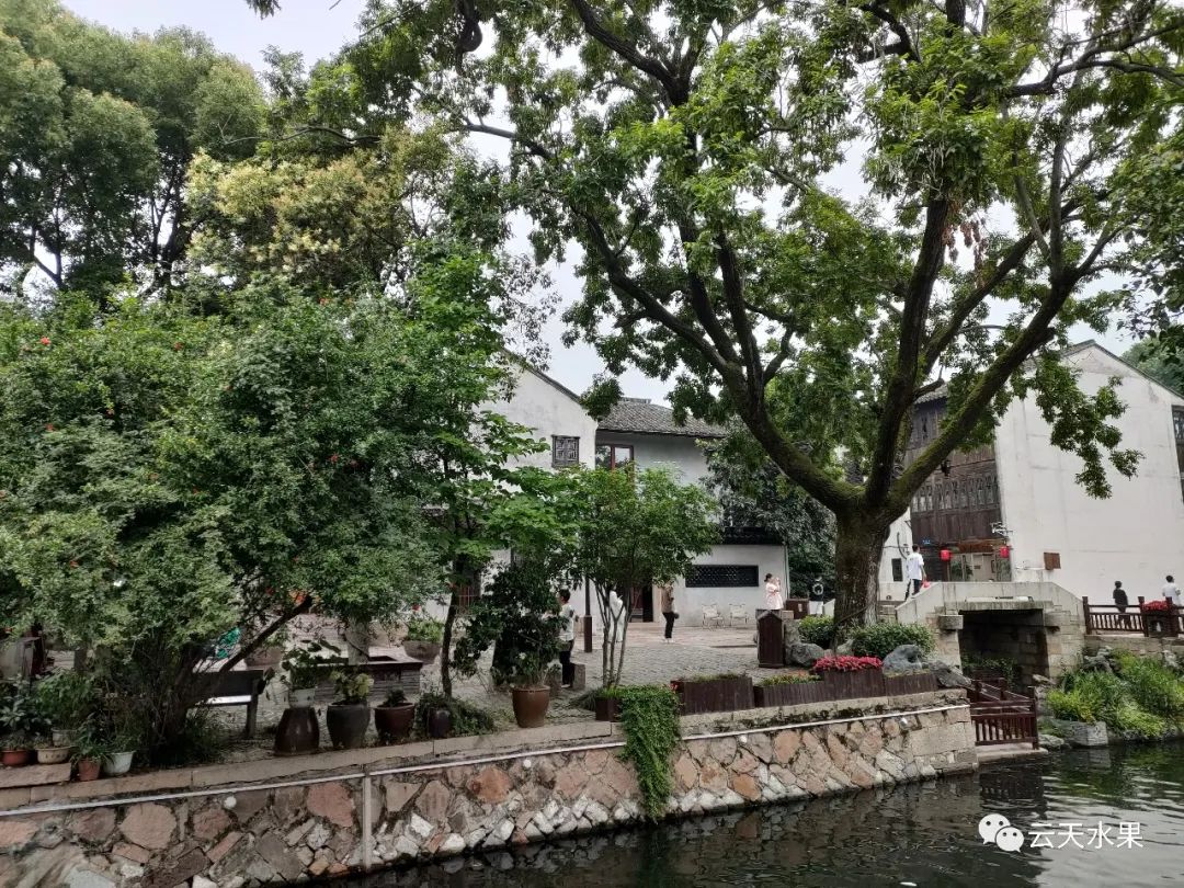 安吉百草园景点介绍_安吉百草园景点介绍视频_安吉百草园旅游攻略