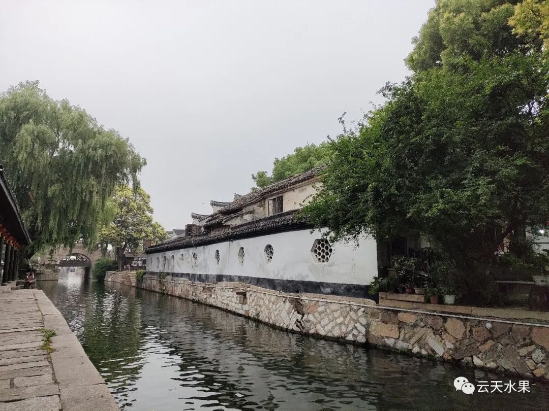 安吉百草园景点介绍视频_安吉百草园旅游攻略_安吉百草园景点介绍
