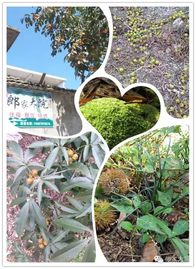 安吉天荒坪酒店_安吉天荒坪山顶度假酒店_安吉天荒坪旅游景区