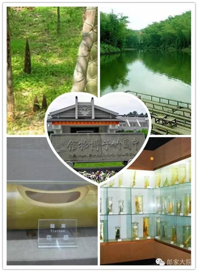安吉天荒坪旅游景区_安吉天荒坪酒店_安吉天荒坪山顶度假酒店