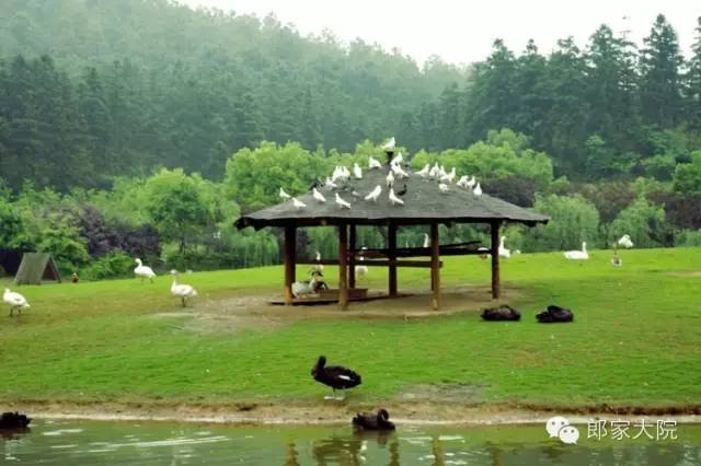 安吉天荒坪酒店_安吉天荒坪旅游景区_安吉天荒坪山顶度假酒店