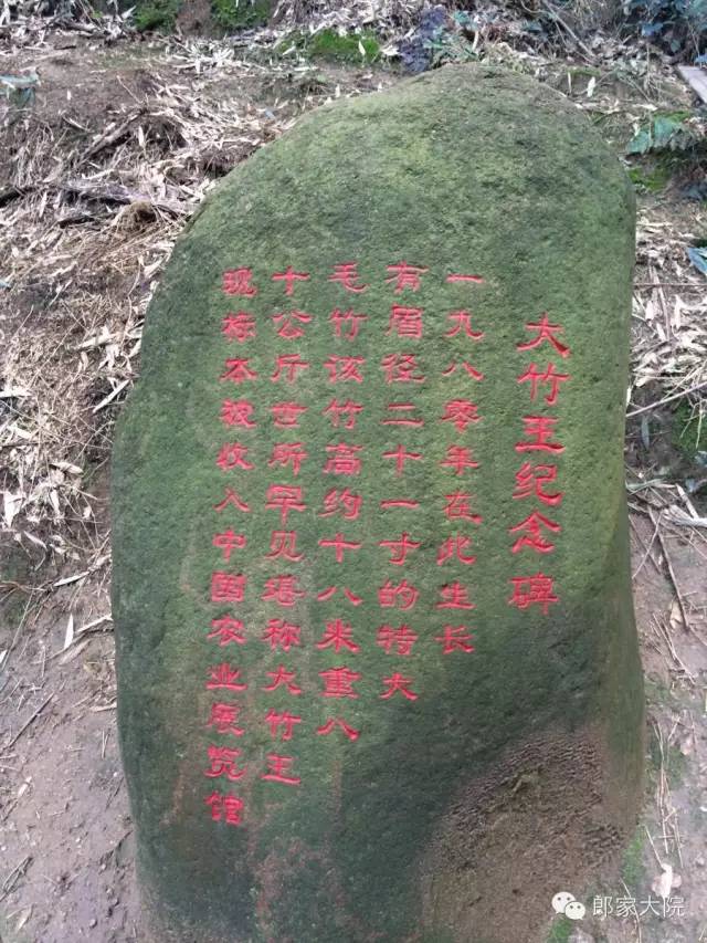 安吉天荒坪酒店_安吉天荒坪山顶度假酒店_安吉天荒坪旅游景区