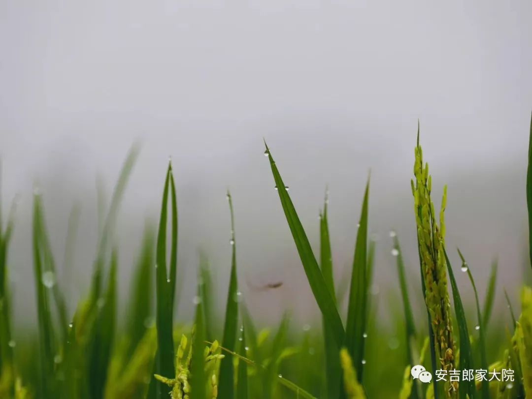安吉天荒坪旅游景区_安吉天荒坪酒店_安吉天荒坪山顶度假酒店