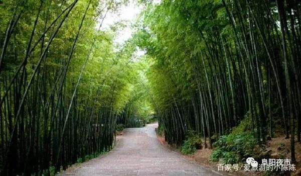 安吉天荒坪旅游景区_安吉天荒坪民宿_安吉天荒坪酒店