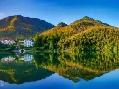 江浙沪周边游的小众打卡地，你去过几个？