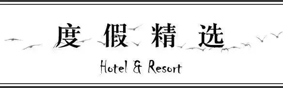 孔雀安妮_安吉孔雀_安吉孔雀山庄