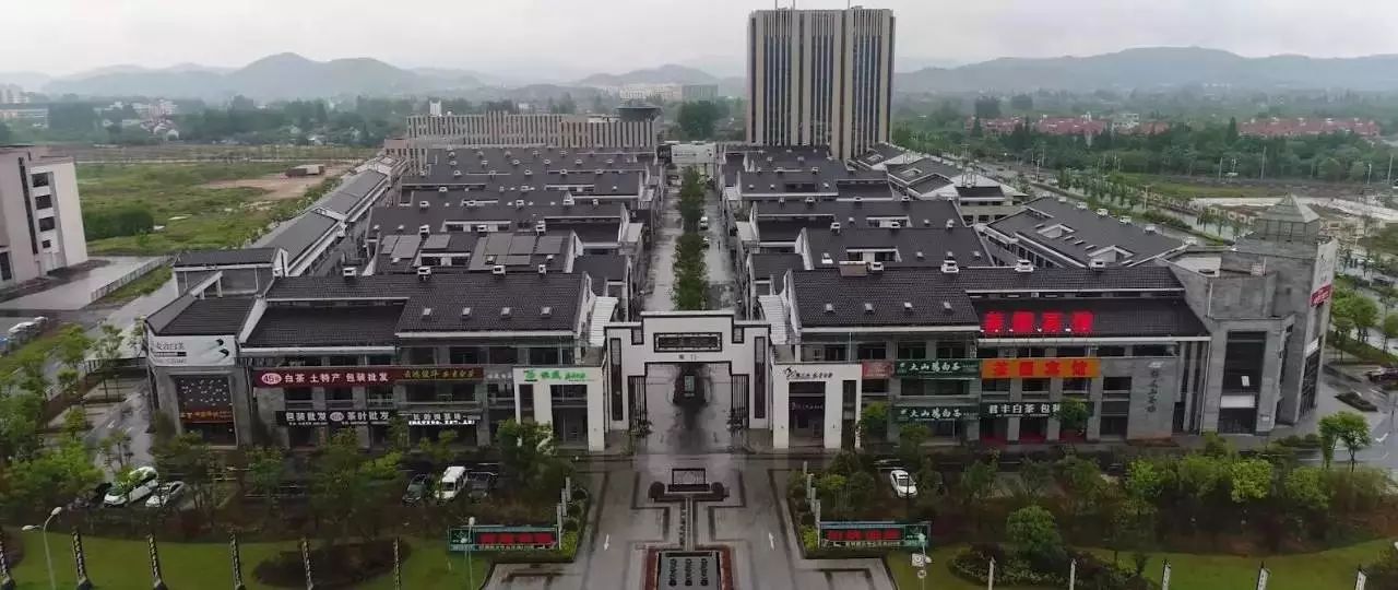 安吉白茶旗舰店怎么样_安吉白茶旗舰店_安吉白茶官方授权