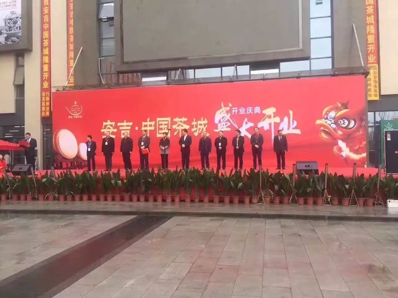 安吉白茶旗舰店怎么样_安吉白茶专卖店_安吉白茶旗舰店