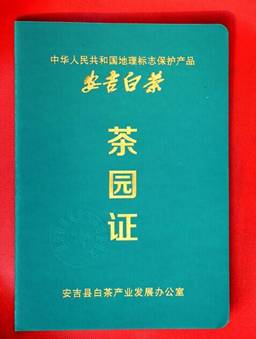 安吉白茶旗舰店_安吉白茶专卖店_安吉白茶旗舰店怎么样