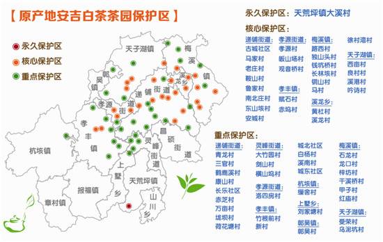 安吉白茶专卖店_安吉白茶旗舰店_安吉白茶旗舰店怎么样