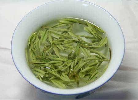 安吉白茶的功效和泡法_安吉白茶茶的功效_安吉白茶的功效