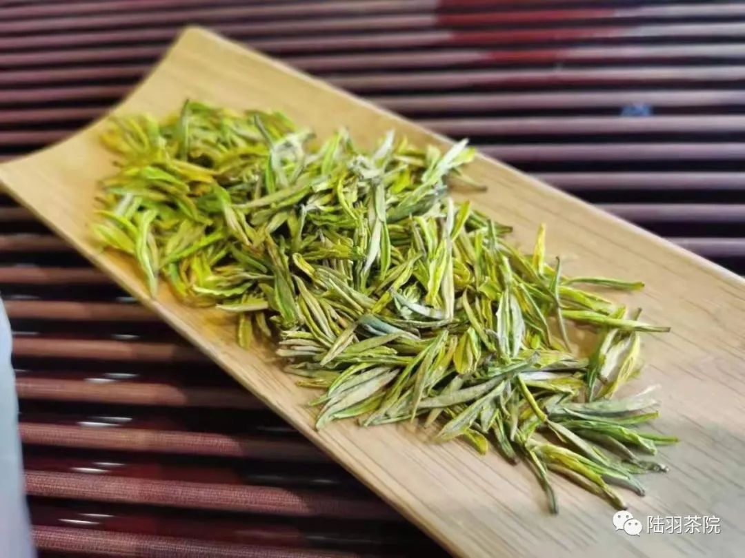 白茶安吉的功效_安吉白茶的功效_安吉白茶功效与禁忌