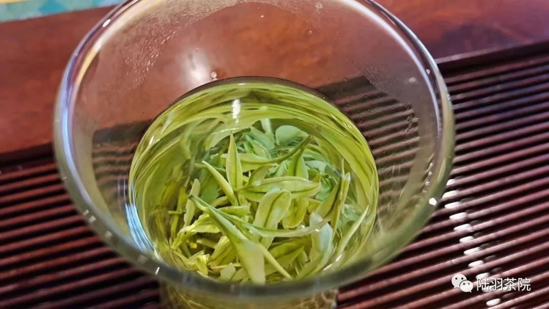 安吉白茶功效与禁忌_安吉白茶的功效_白茶安吉的功效