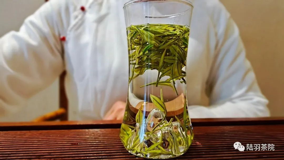 安吉白茶的功效_白茶安吉的功效_安吉白茶功效与禁忌