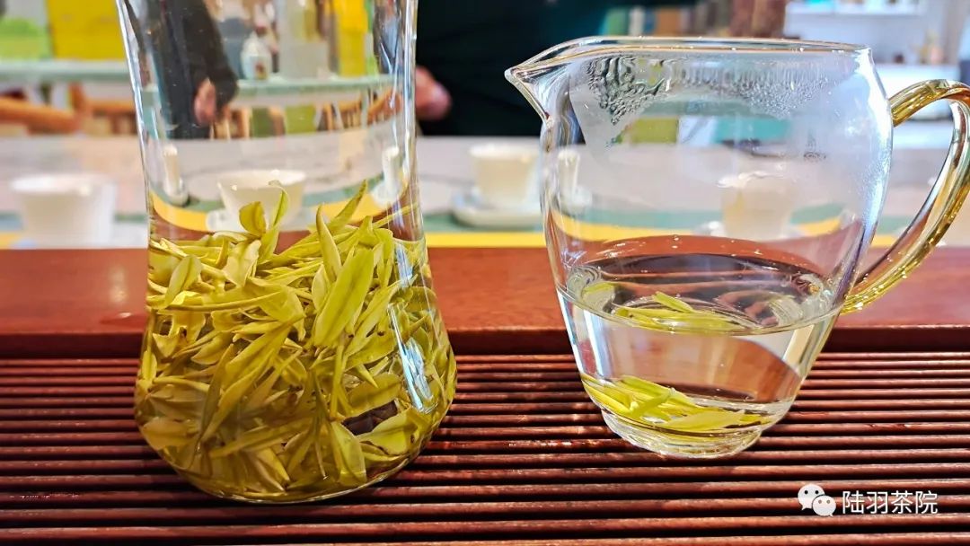白茶安吉的功效_安吉白茶功效与禁忌_安吉白茶的功效