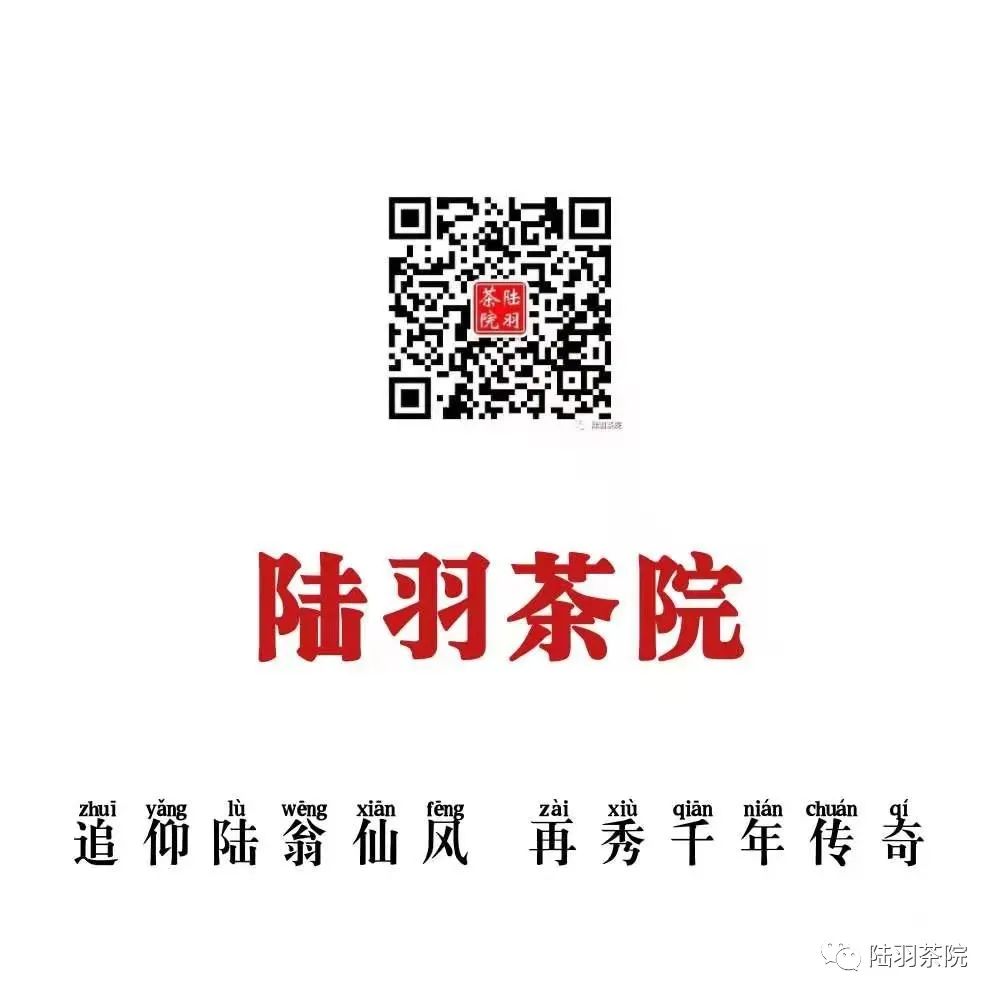 安吉白茶功效与禁忌_白茶安吉的功效_安吉白茶的功效